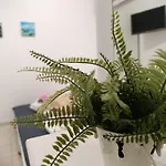 Apartman Nautilus & *