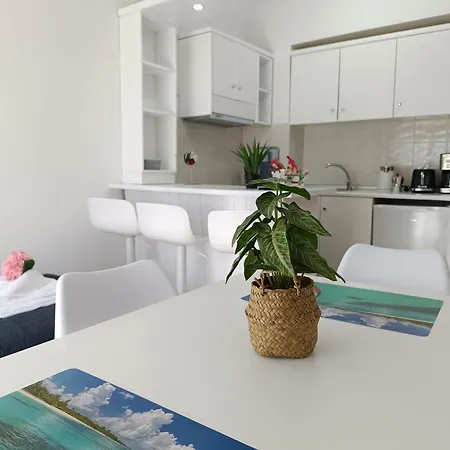 Apartamento Nautilus & *