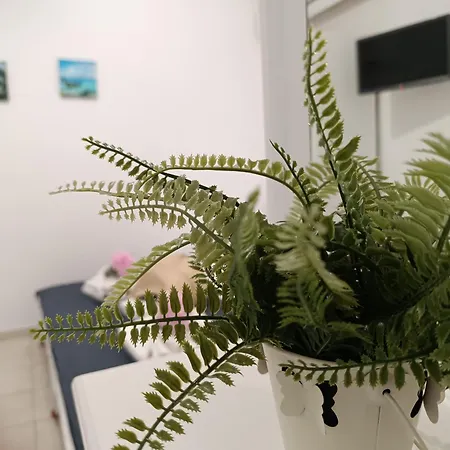 Lägenhet Nautilus & *