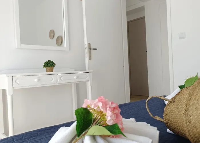 Nautilus & Apartment *